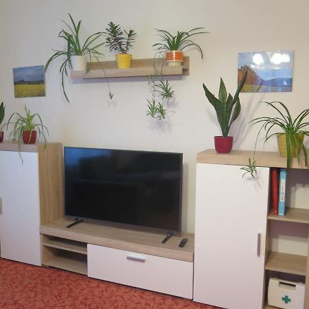 Apartman Hrubá Skála エクステリア 写真