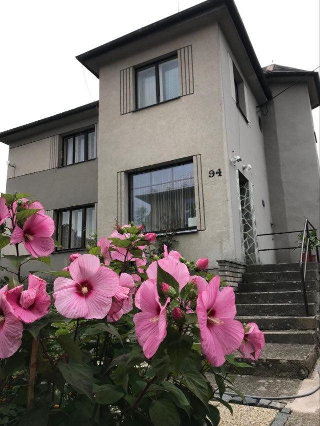 Apartman Hrubá Skála エクステリア 写真