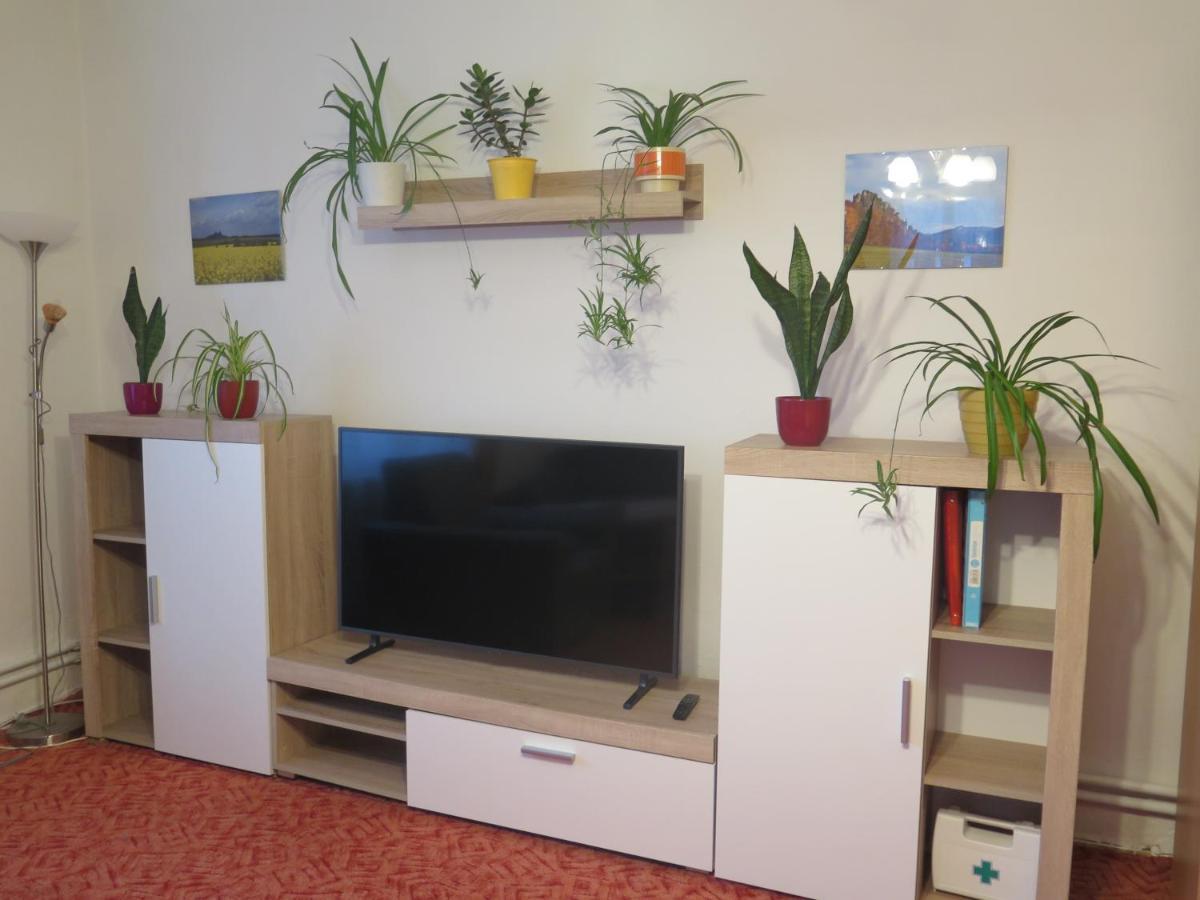 Apartman Hrubá Skála エクステリア 写真