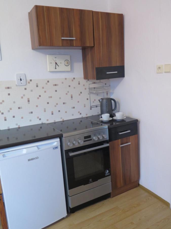 Apartman Hrubá Skála エクステリア 写真